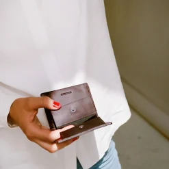 Adon Portfel, Brazowy