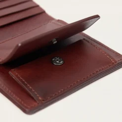 Adon Portfel, Brazowy