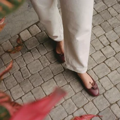 Amuka Baleriny, Baklazan