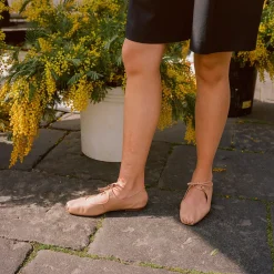 Batsheva Baleriny, Biszkoptowy