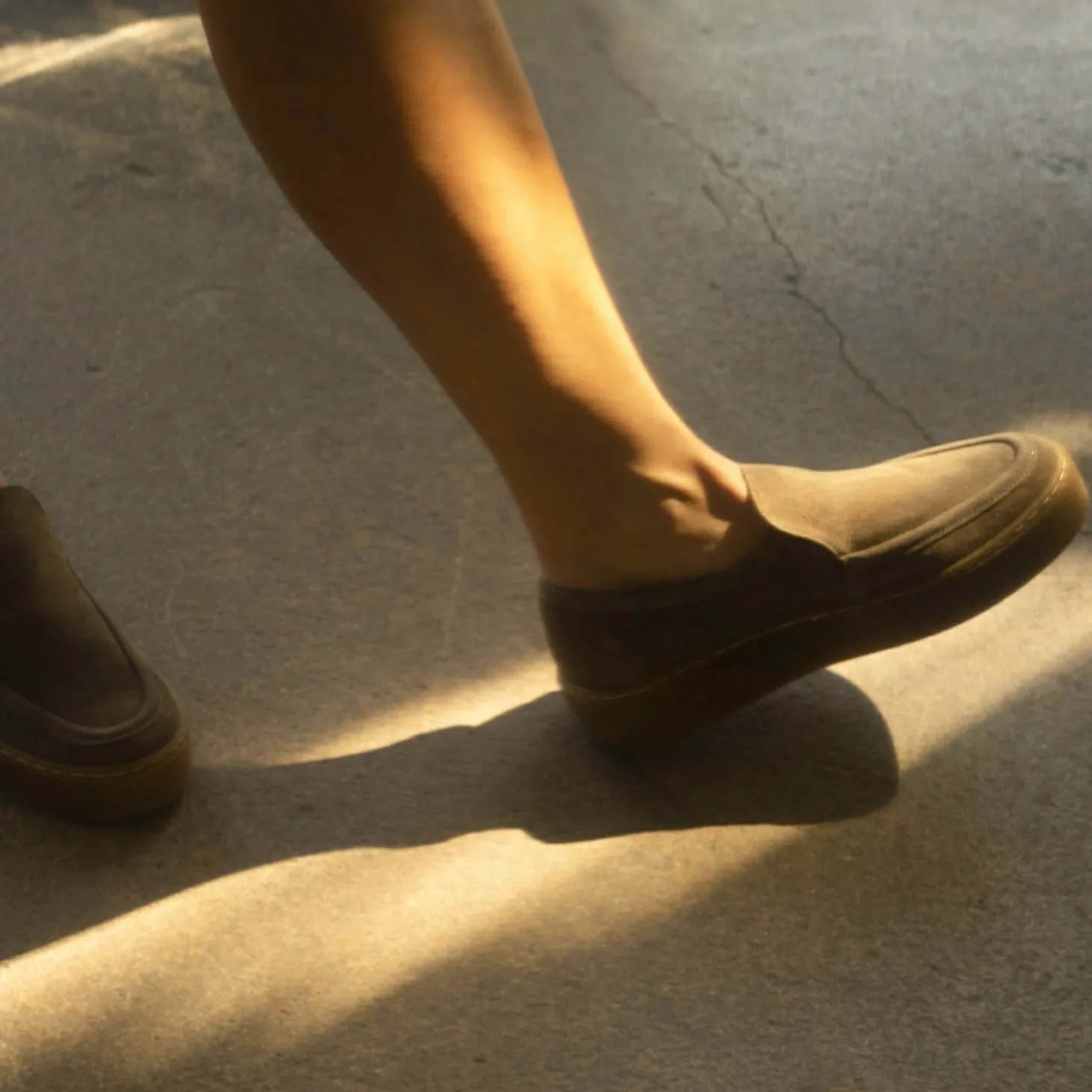 Kulit Mokasyny, Marrone