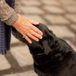 Pierscionek Z Dwoma Kulkami