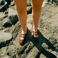 Shirley Baleriny, Bordowy Polysk