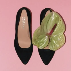 Sica Czółenka, Czarny Zamsz